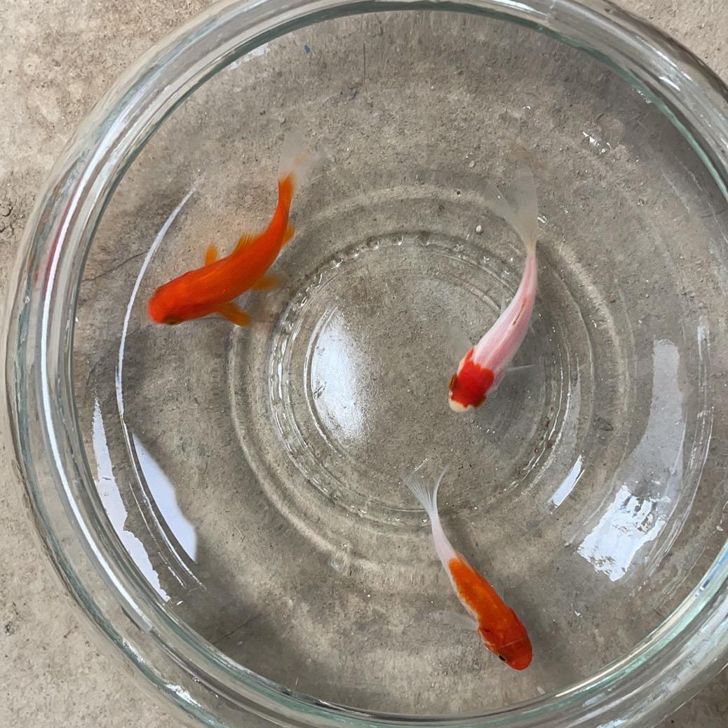 没有昵称！