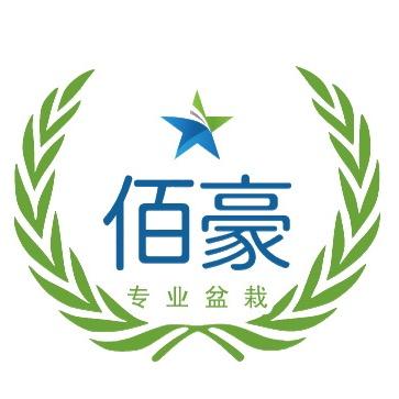 佰豪花卉旗舰店