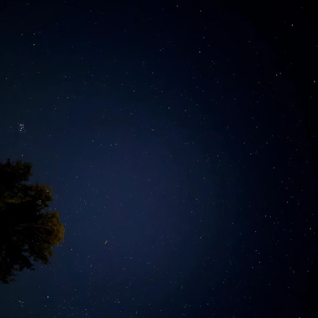 星星不睡🌟