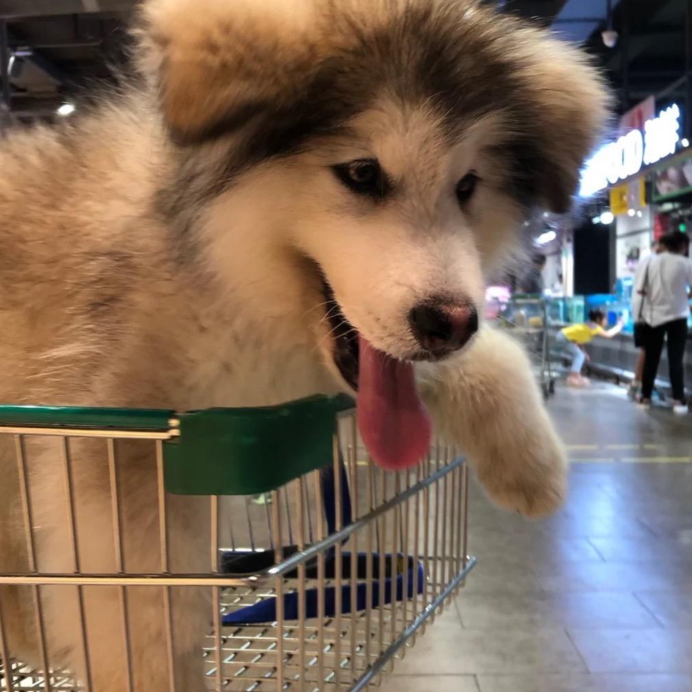 匿名网友