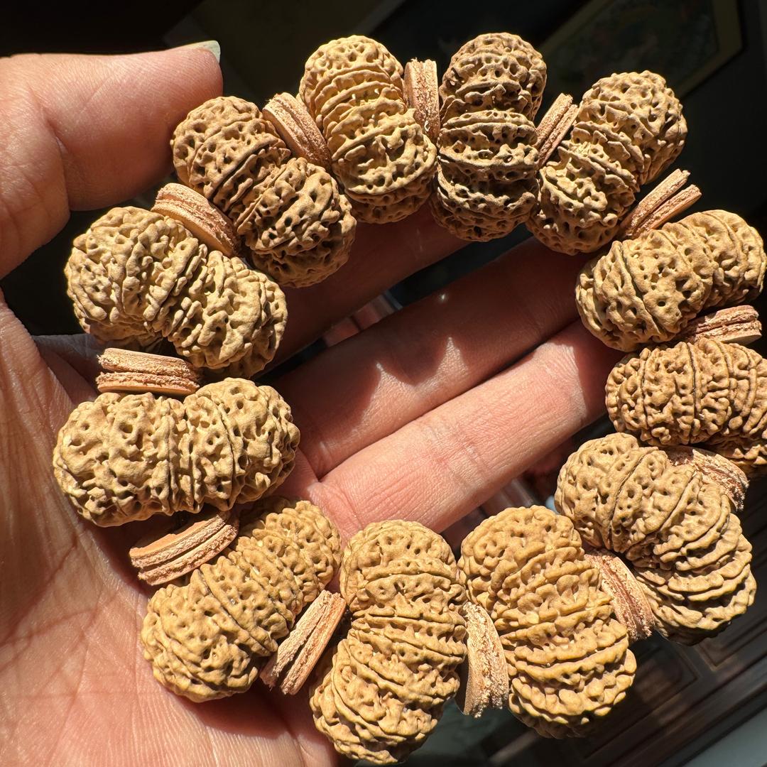 七渡金刚菩提