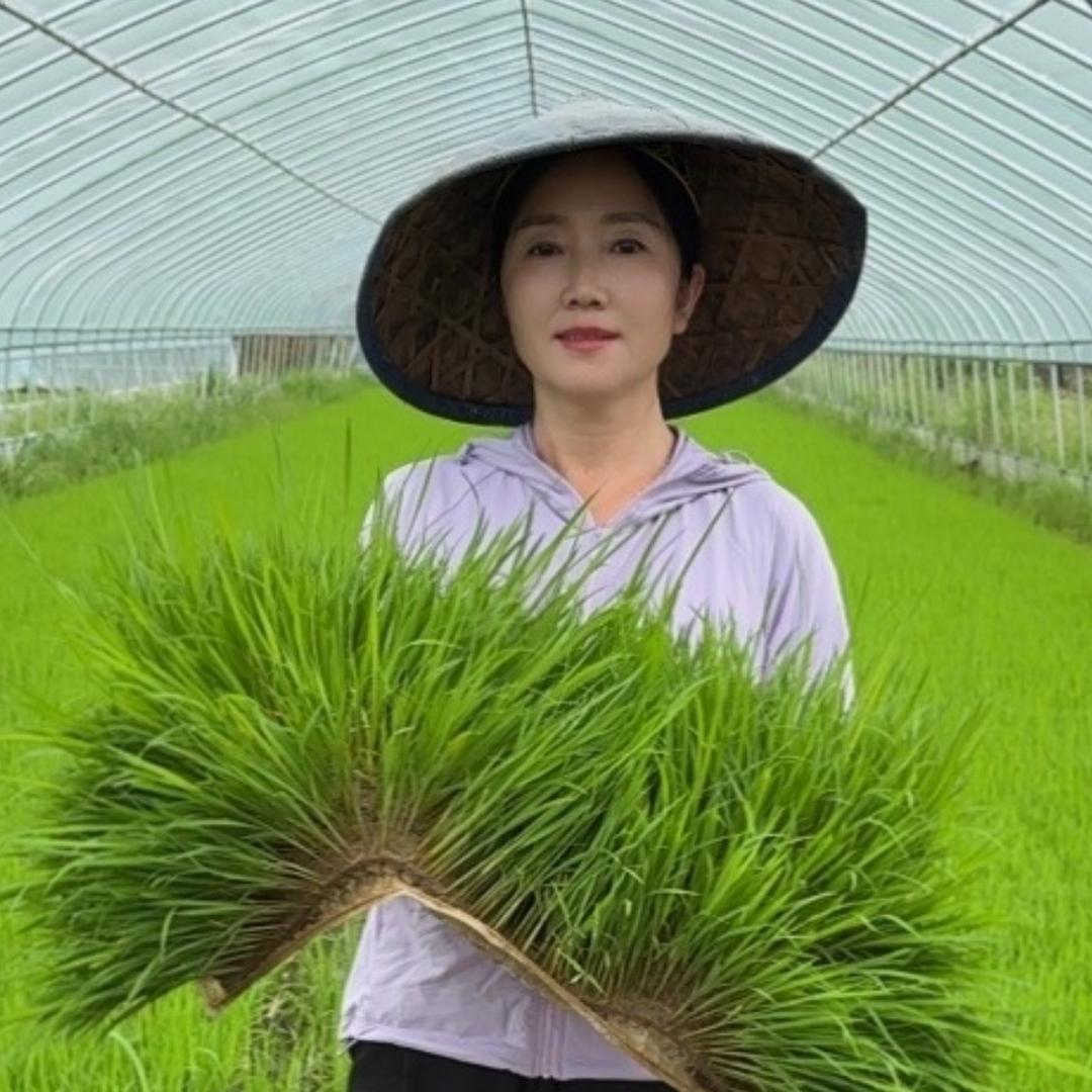 红和农业