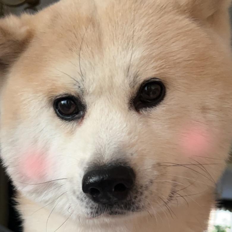 薛富贵