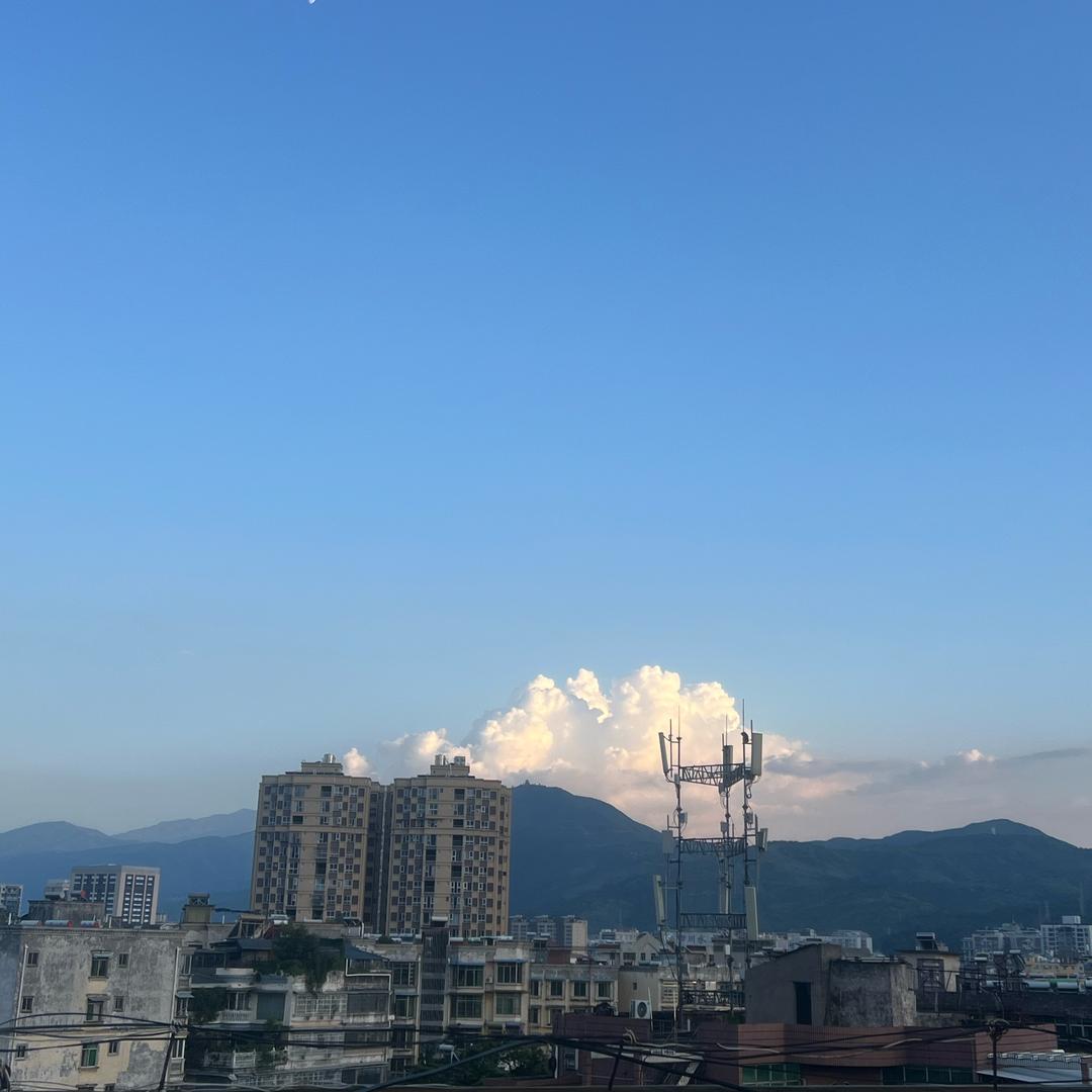 凉山极狐-小张