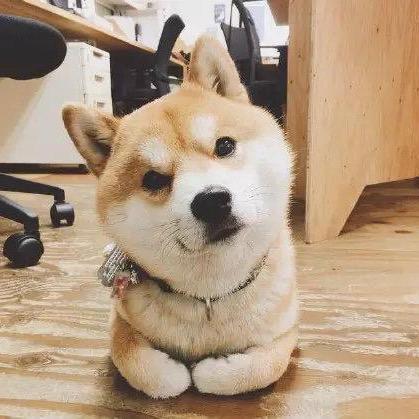 茶隐酒舍swimming pool