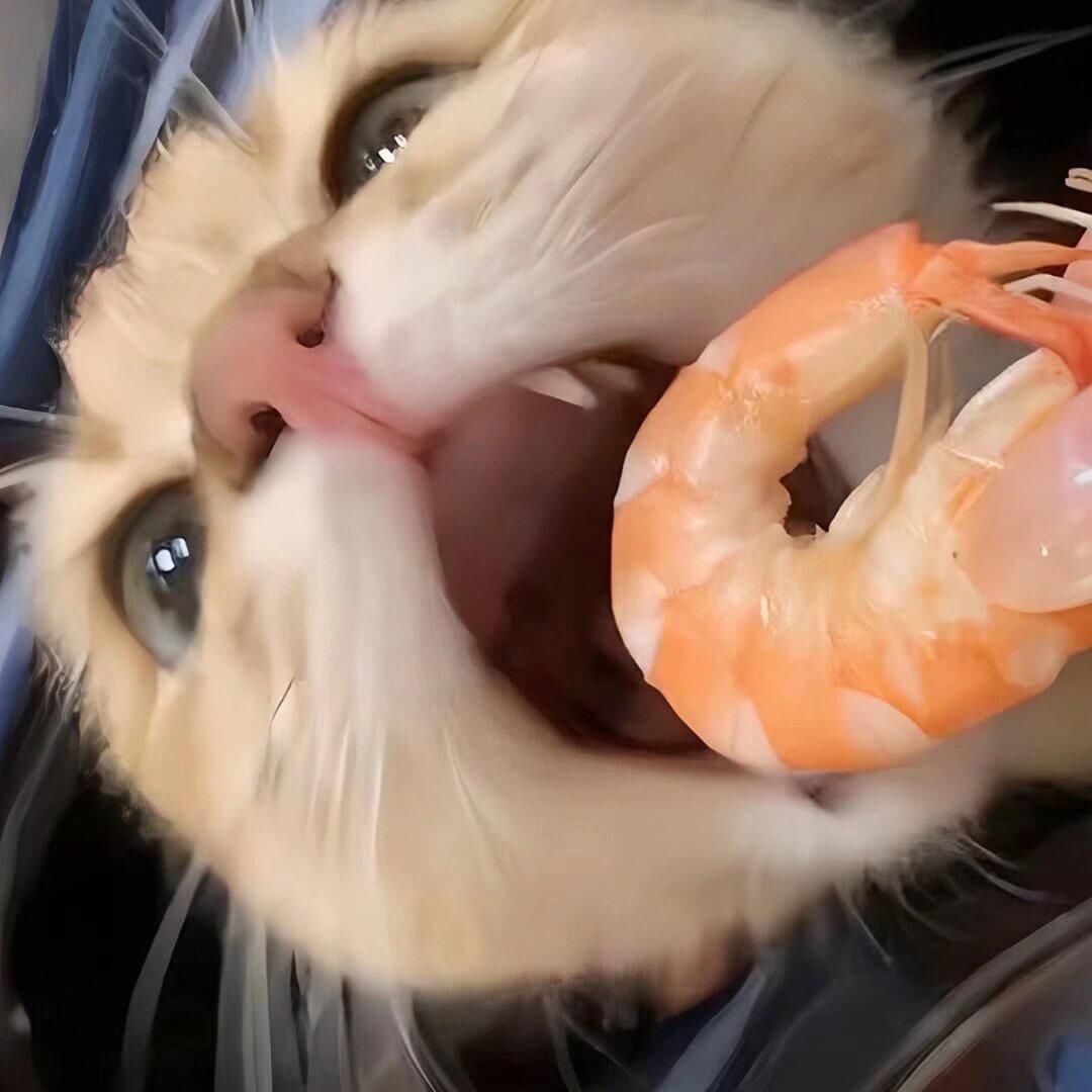 十斤