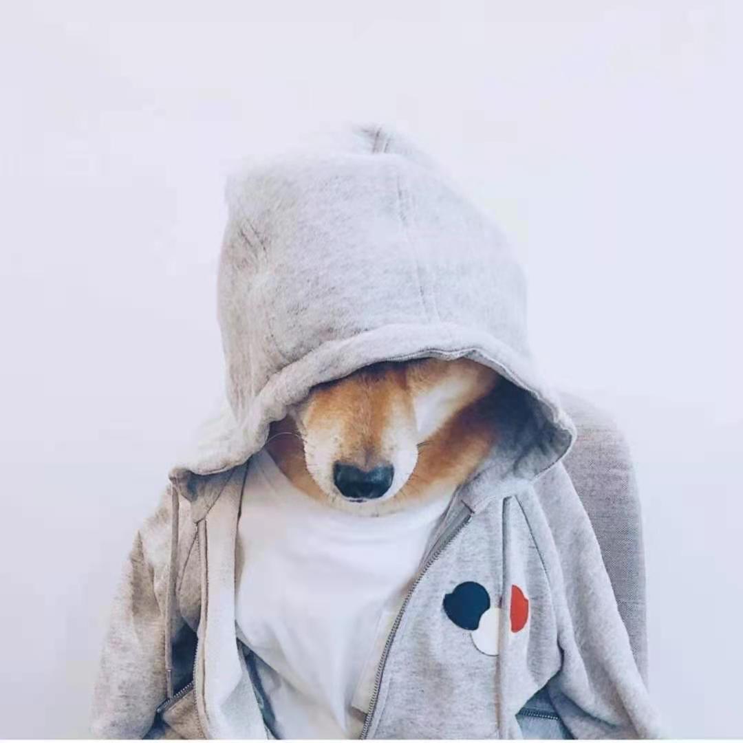 铁血