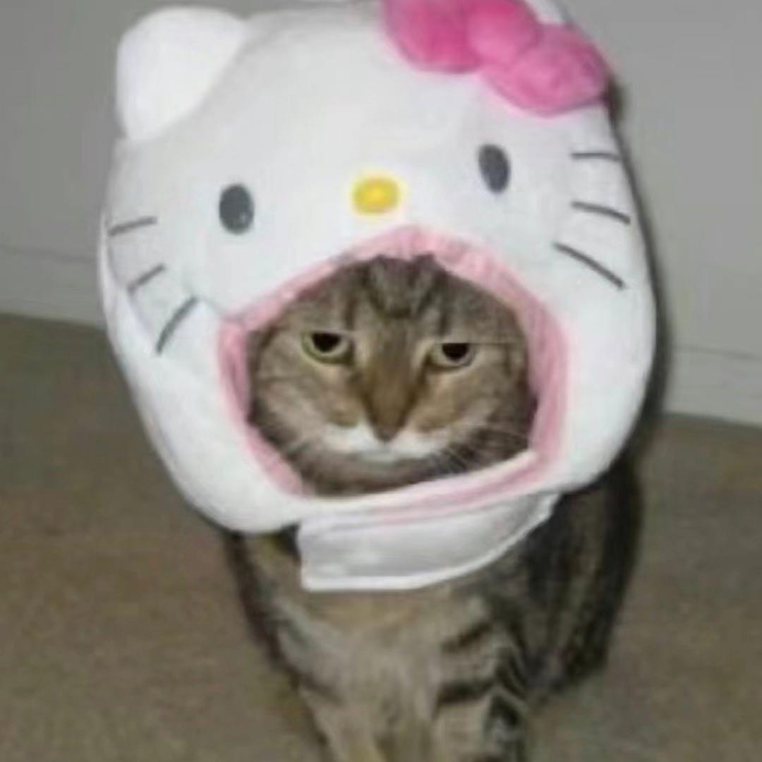 尖叫平菇（有女朋友版）