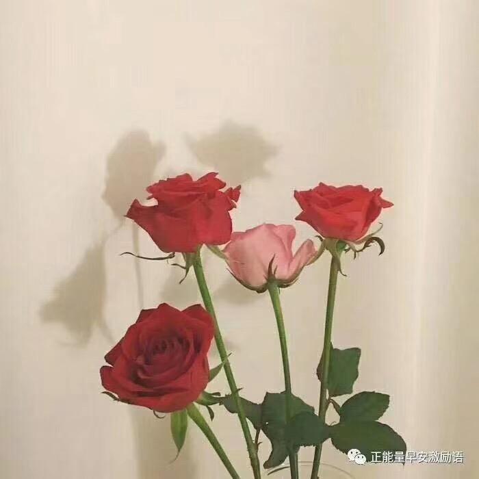汐颜💫