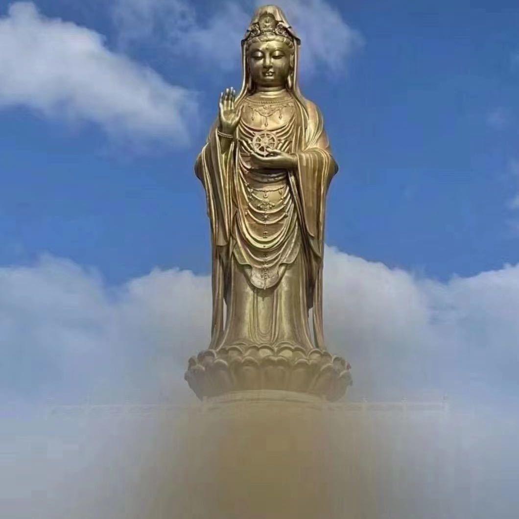 极速运动🏃