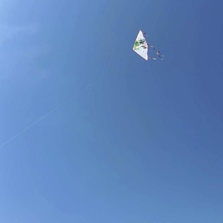 👑邂逅