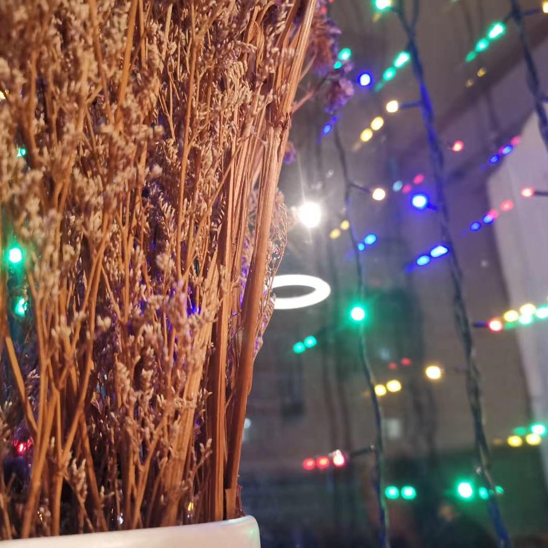 ❤️❤️静心❤️❤️