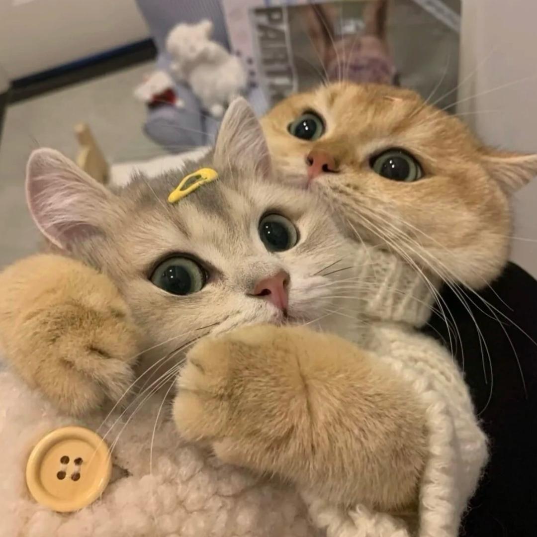 .y