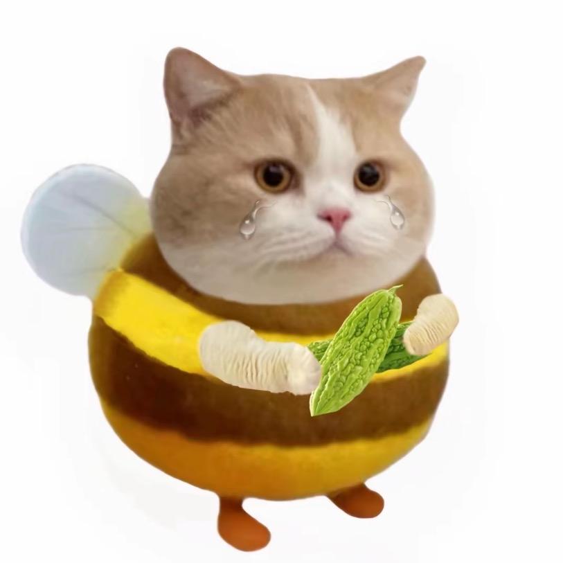 狗子
