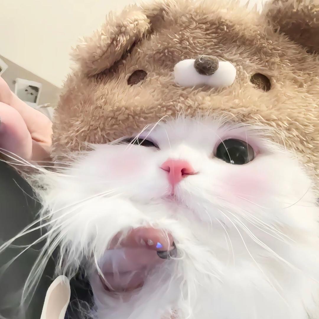 佳宝