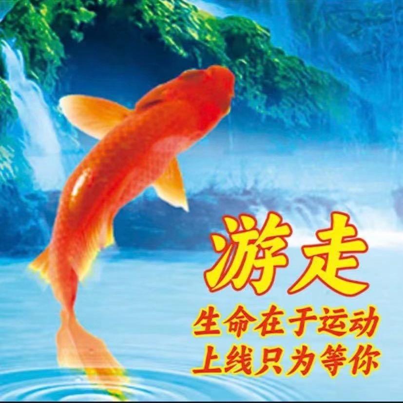 玐玖