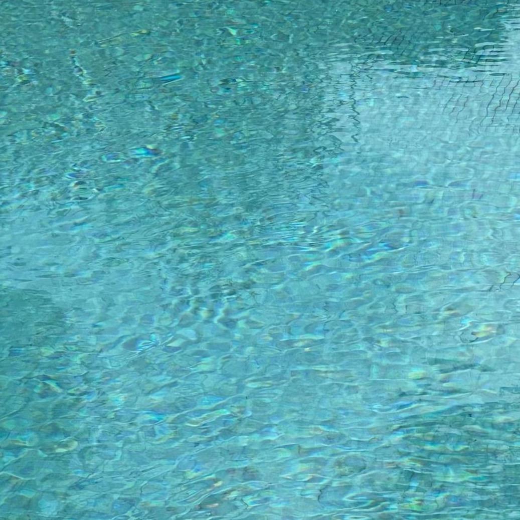 v&V