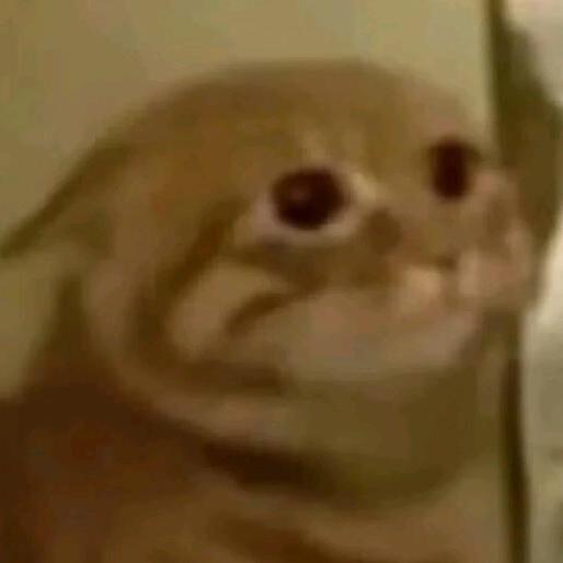 蔡小宝的作者(限时出生💩)