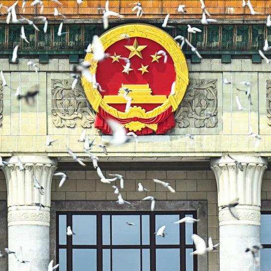 是憨憨呐（早睡版）