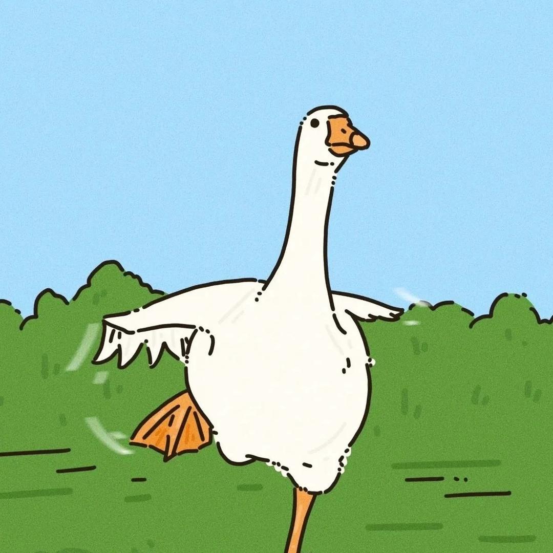 小天鹅🦢