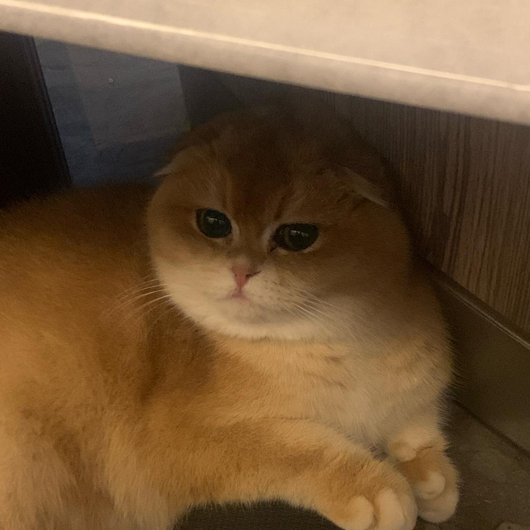 啤酒王。