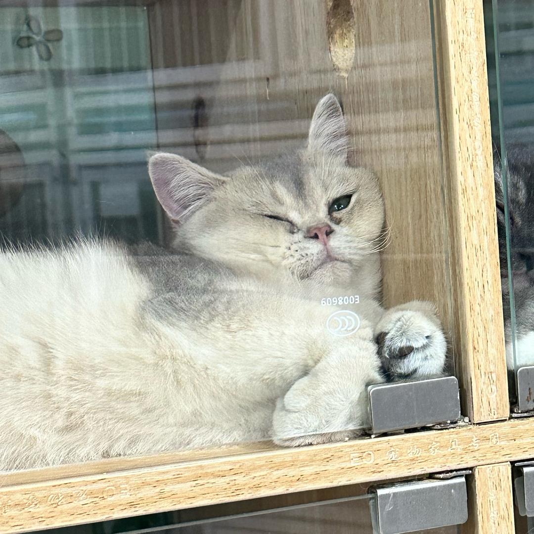 幸运