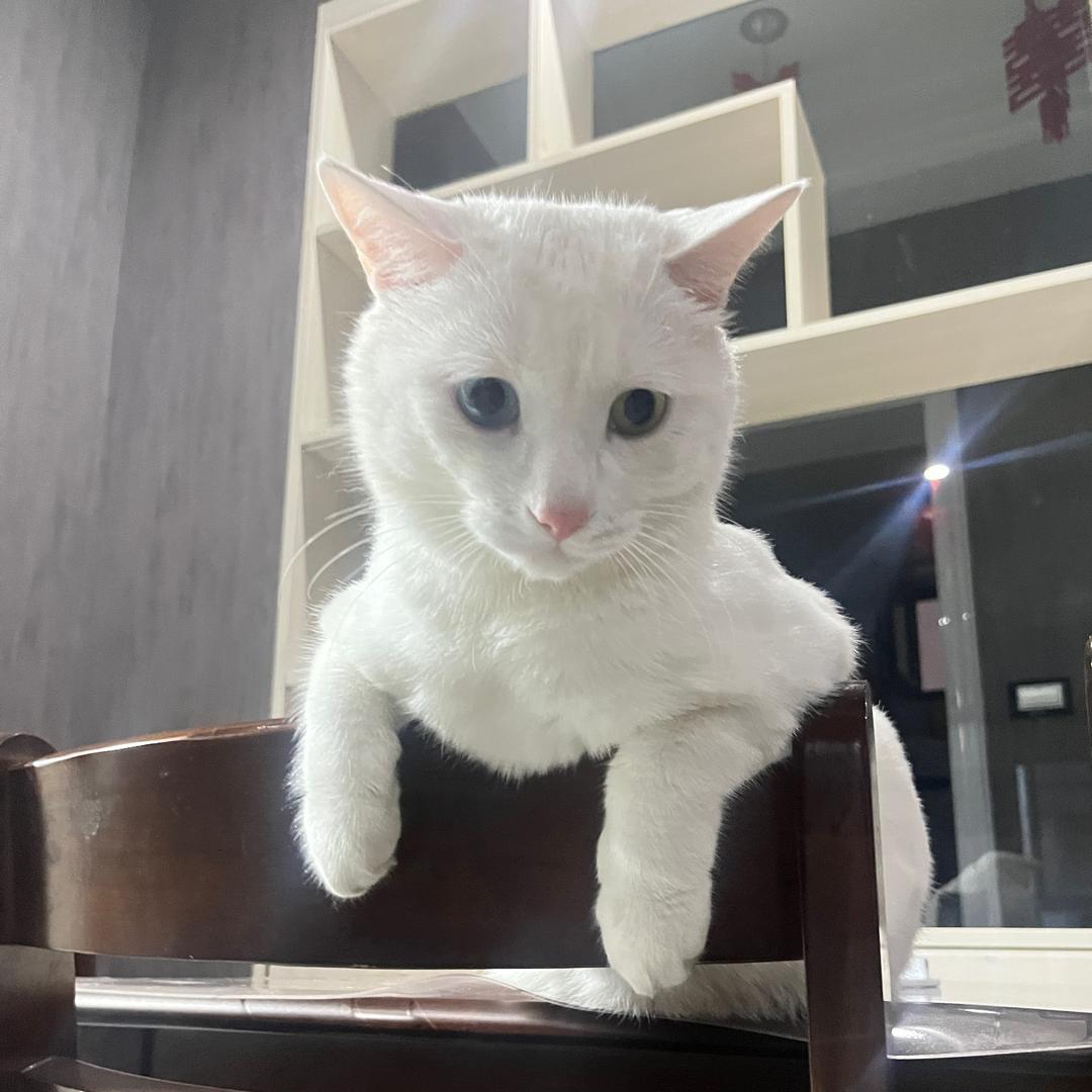 风大暖