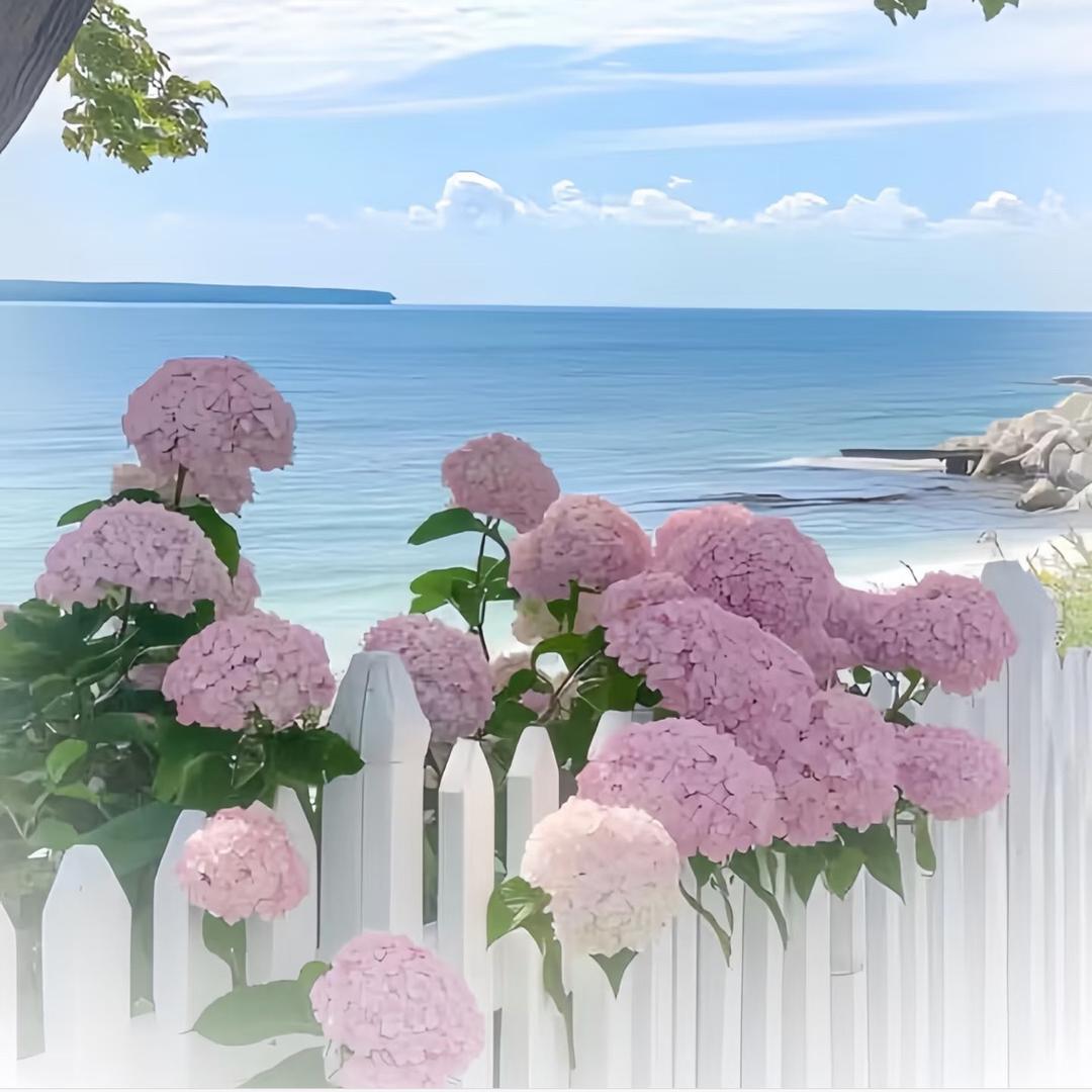 中康国际泡泡🫧