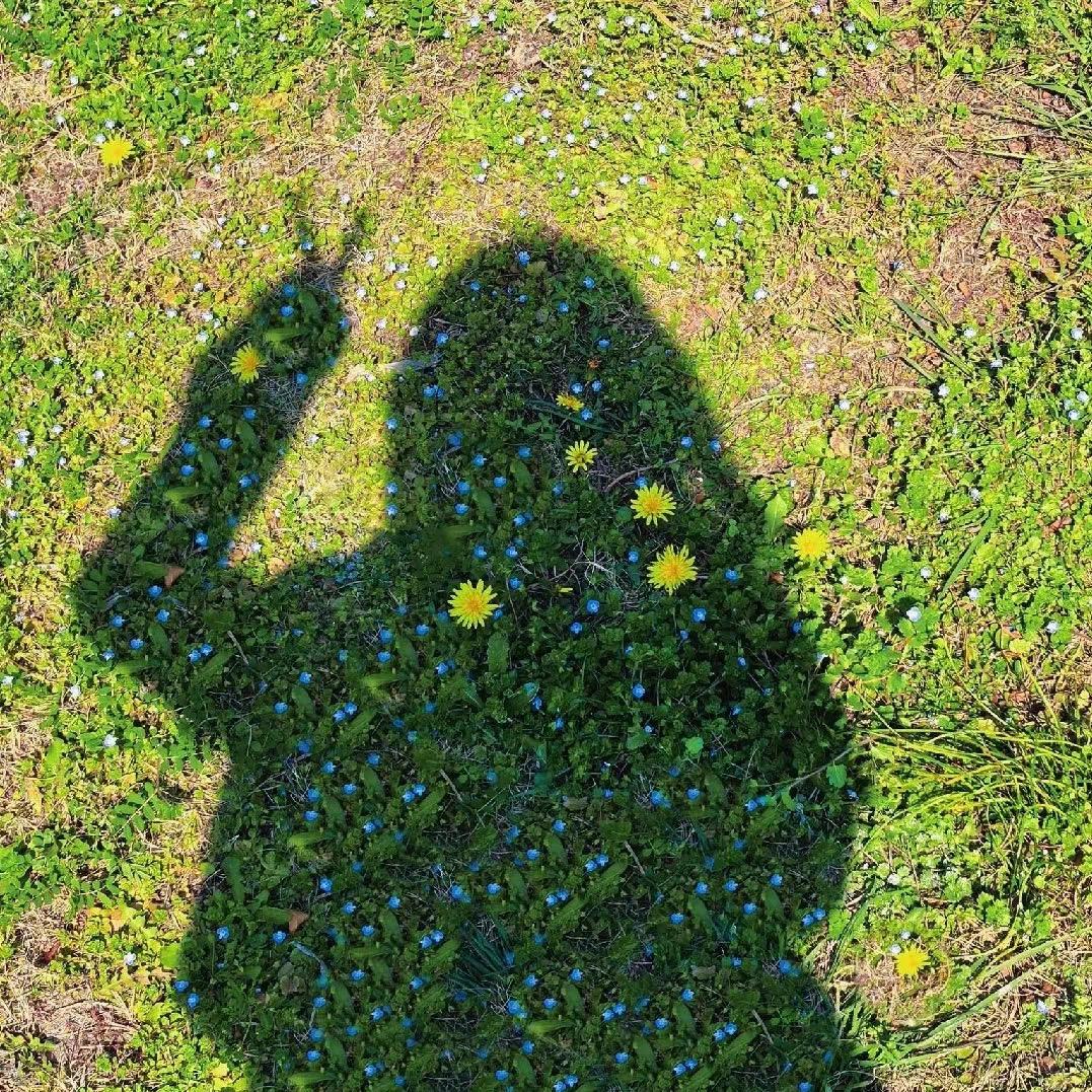 ❥ Shan ·ᴗ· . ᥫᩣ