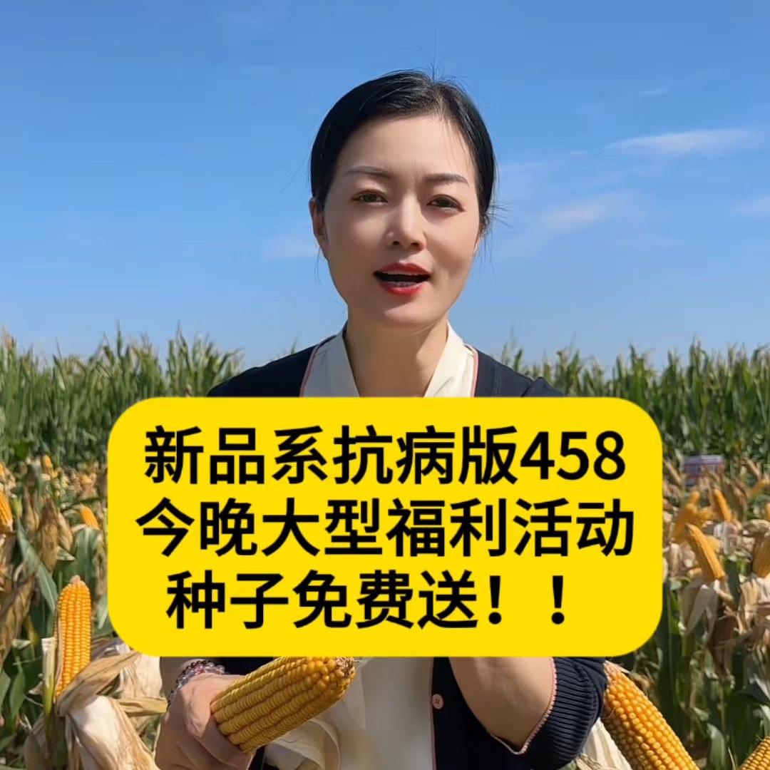 尚慧种子旗舰店