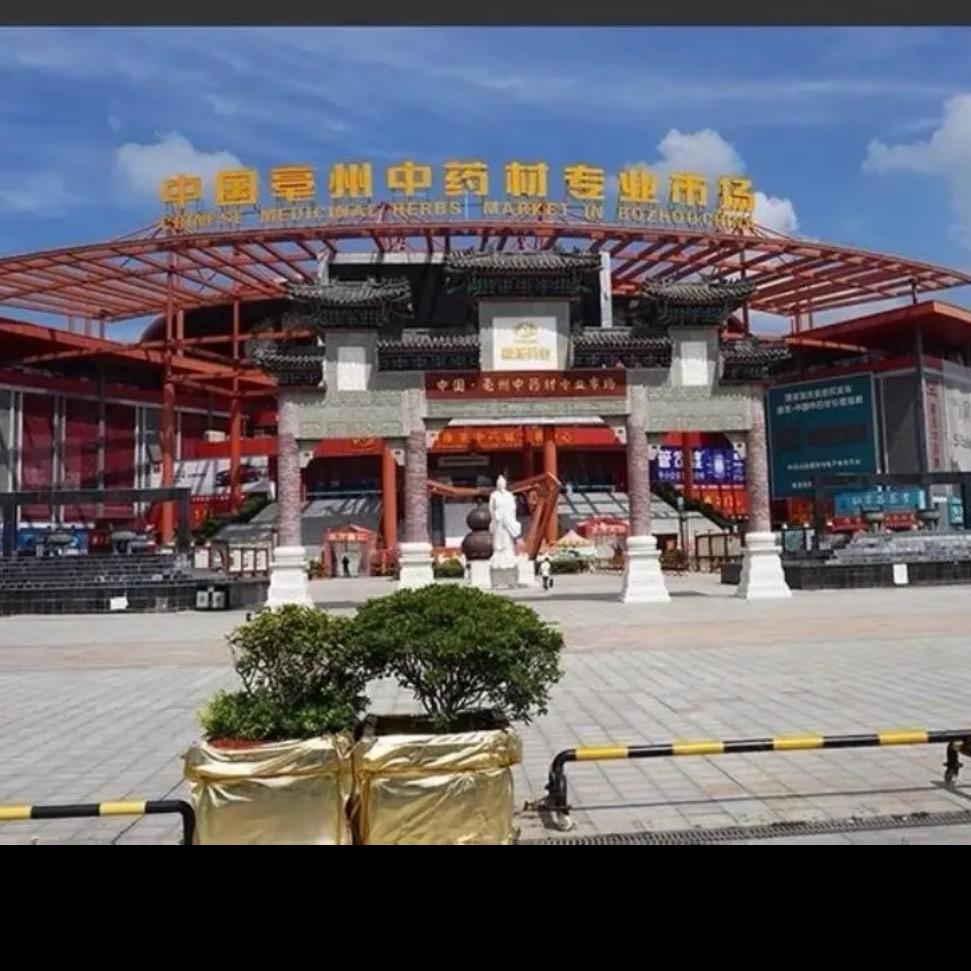 甄选养生泡水料