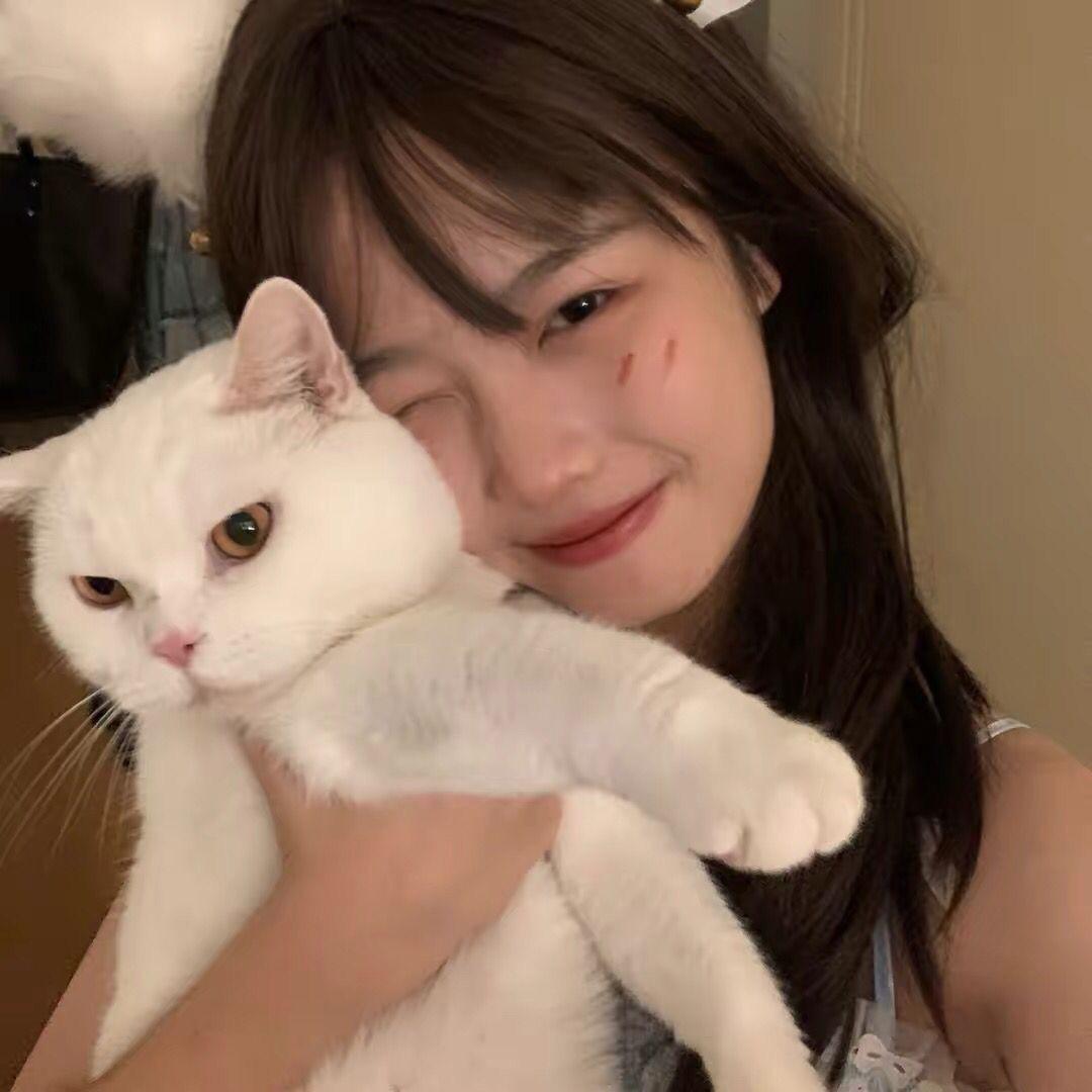 好多肉