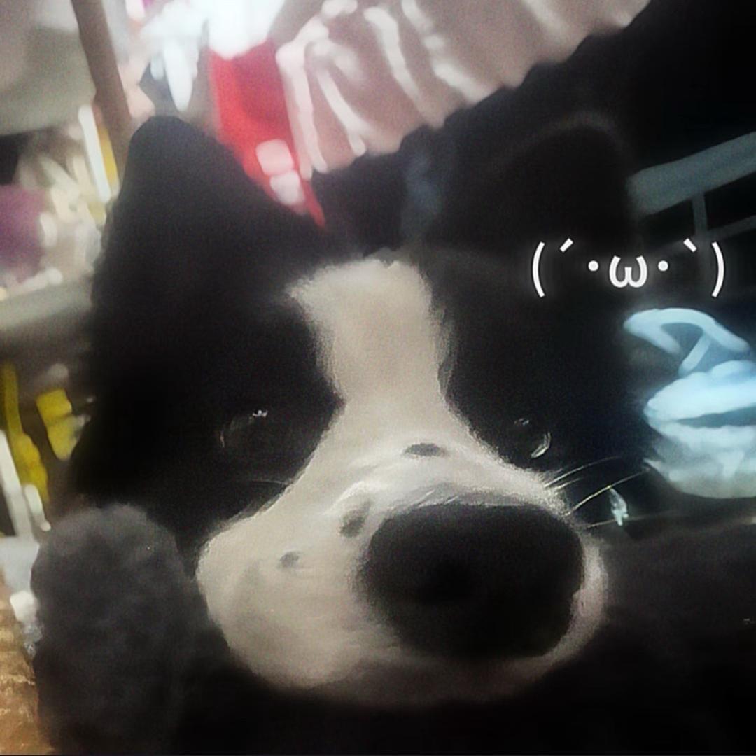 我要早睡晚起头像