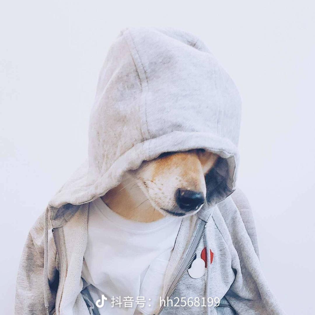 小曦的一天