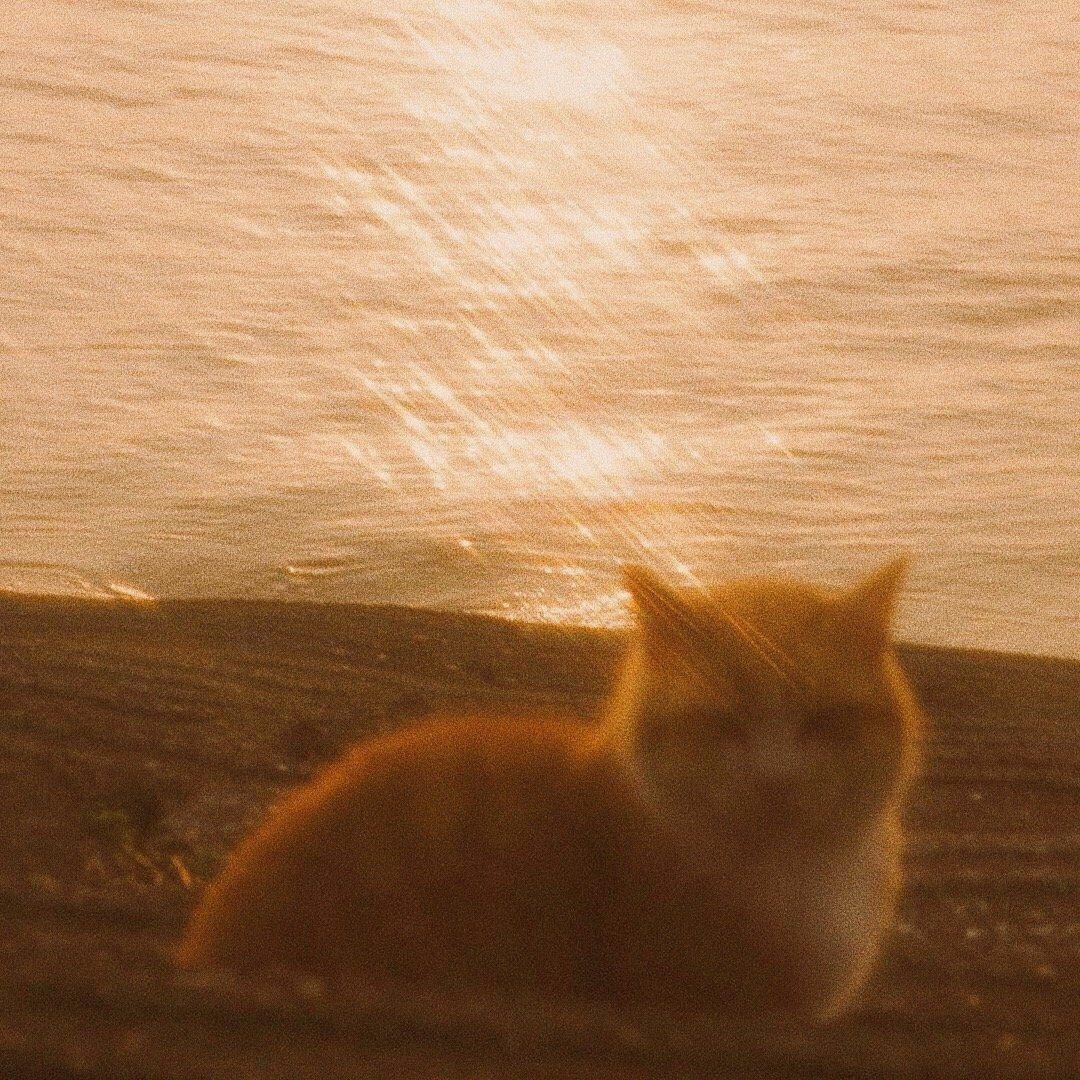 無