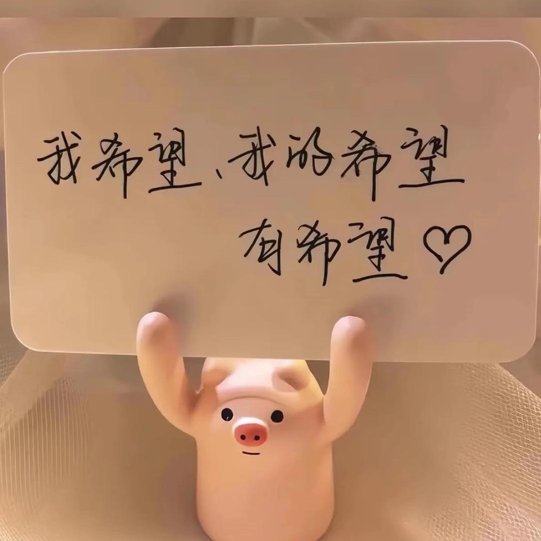 一只小卡拉