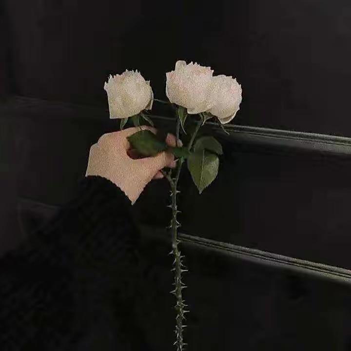 村🌺