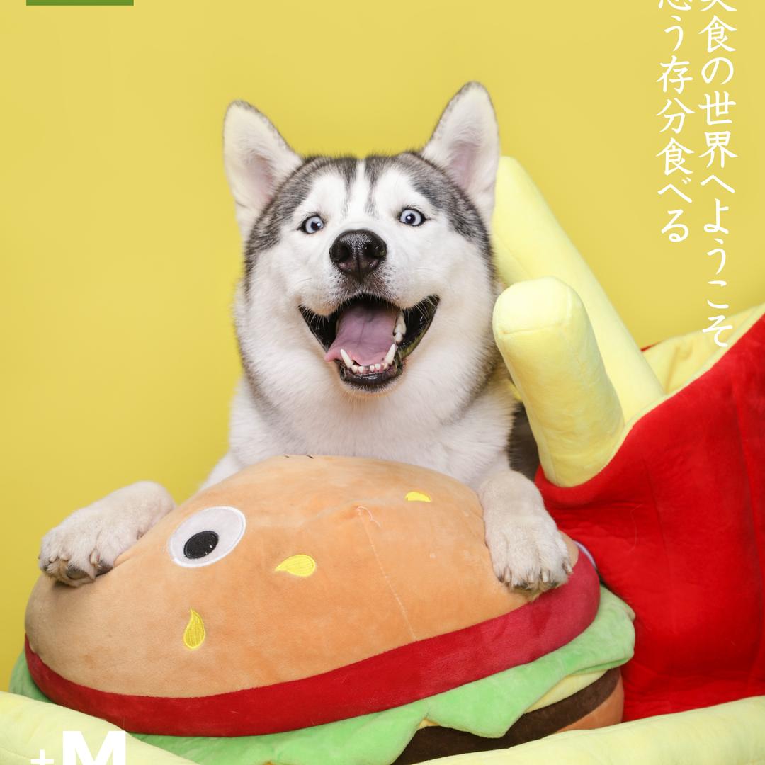 毛孩子呱呱