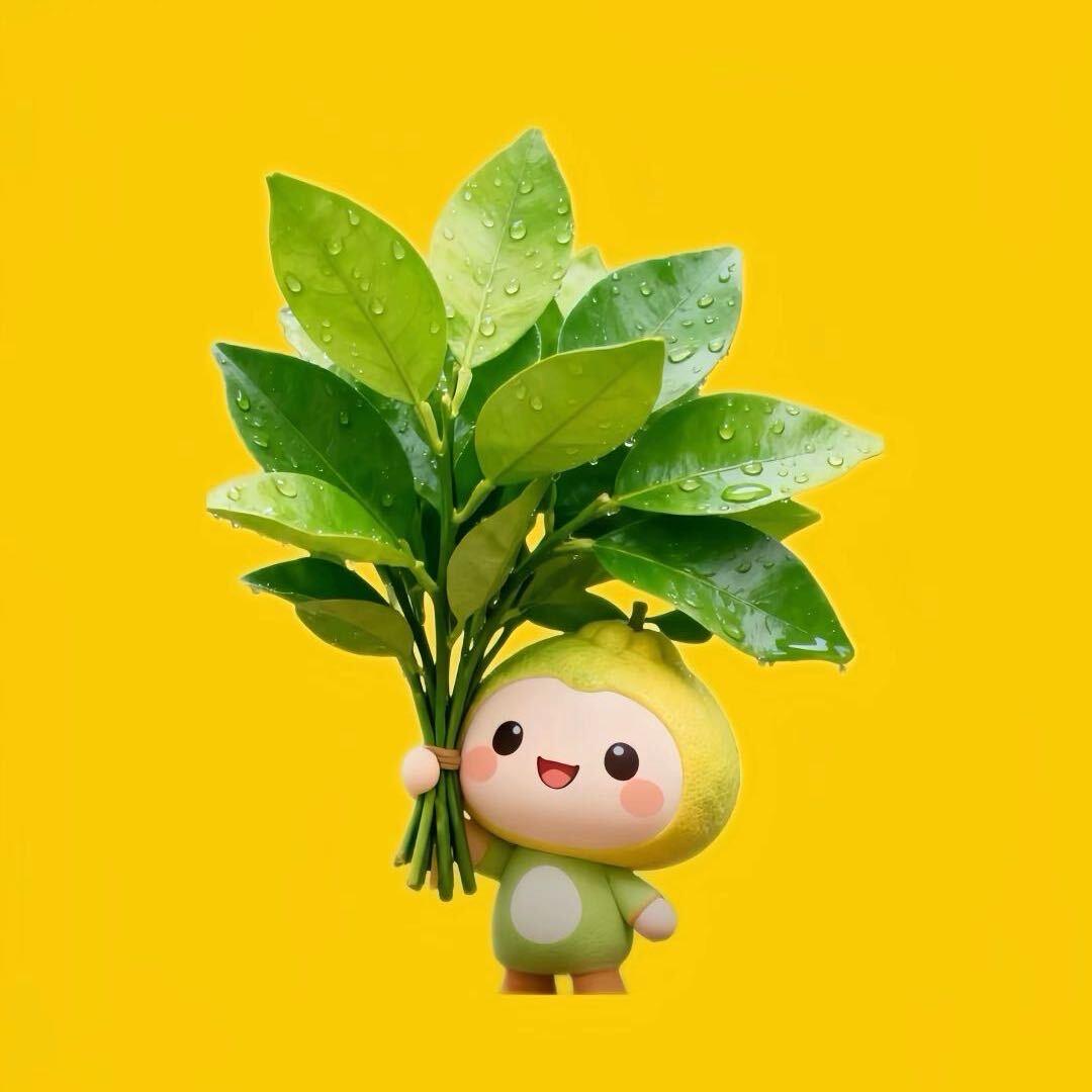 子田的茶（小号）