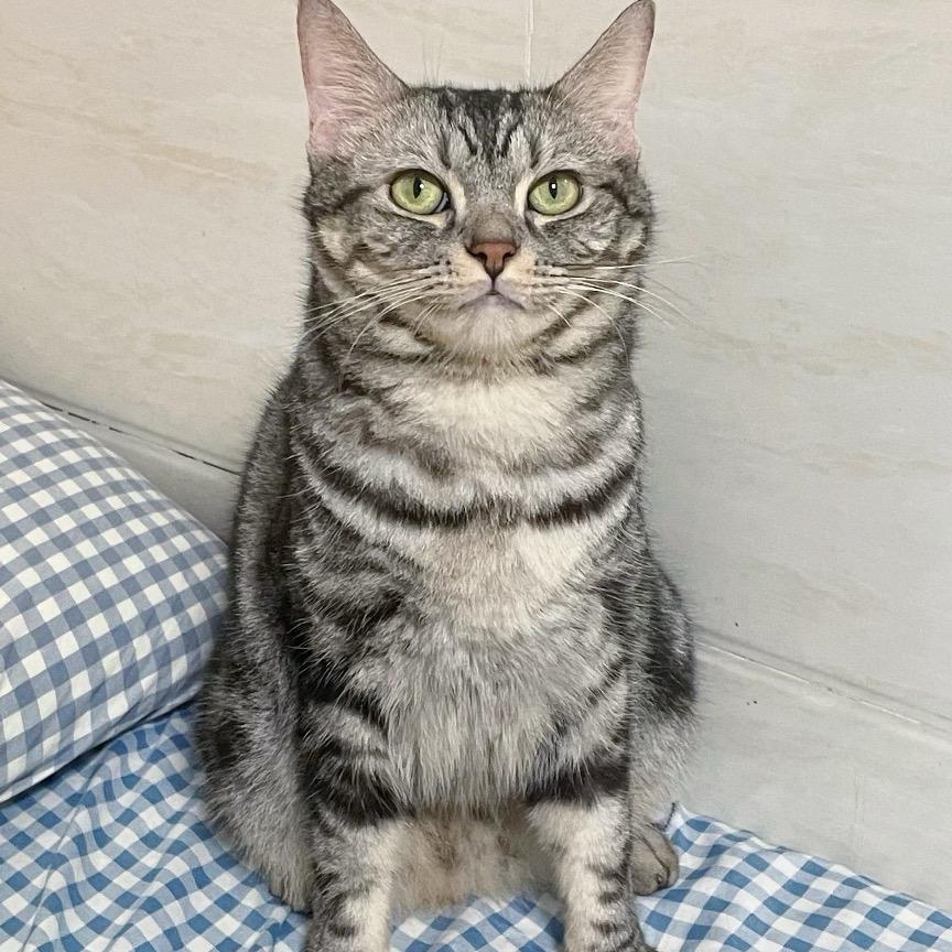 不许偷摸生菜哦！