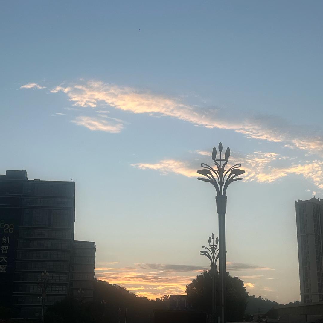 小林影视