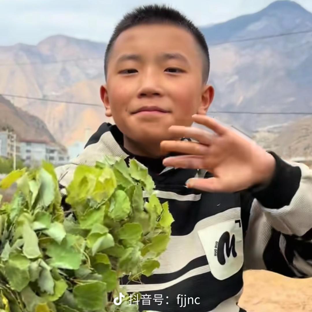 西北药材.小阿文