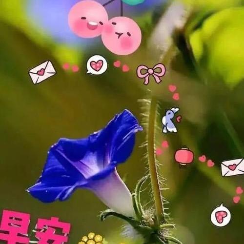 咪咪