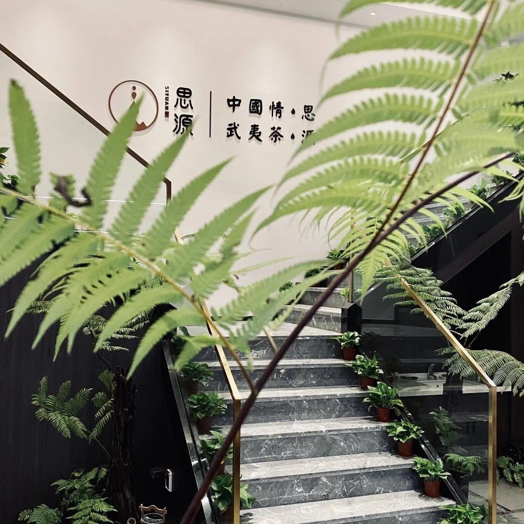 思源茶香馆