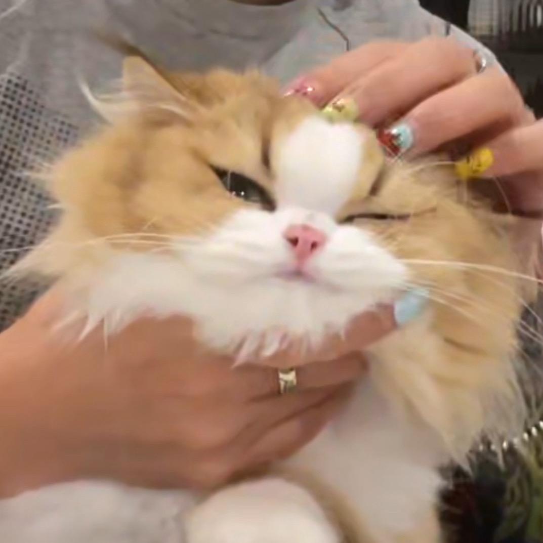 小幸运好物