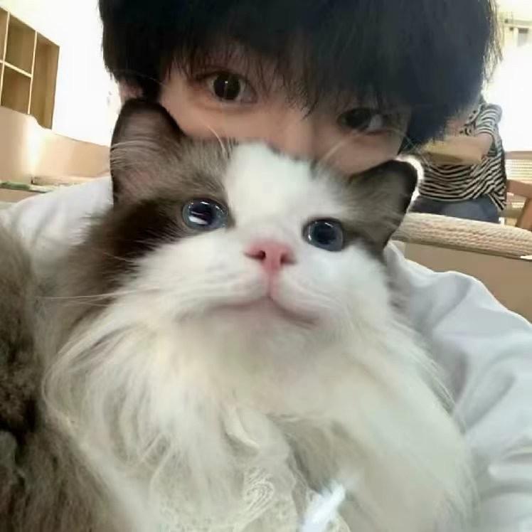 人力资源｜劳务派遣｜实习就业｜代理招聘