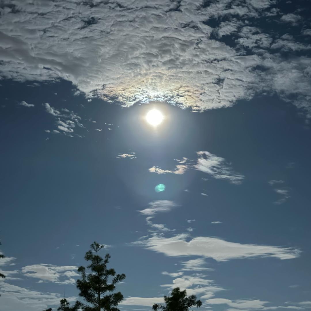 时光安好@岁月静好