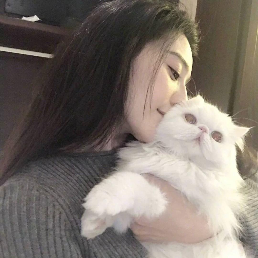 靳译肯