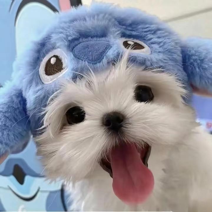 开启童真模式！