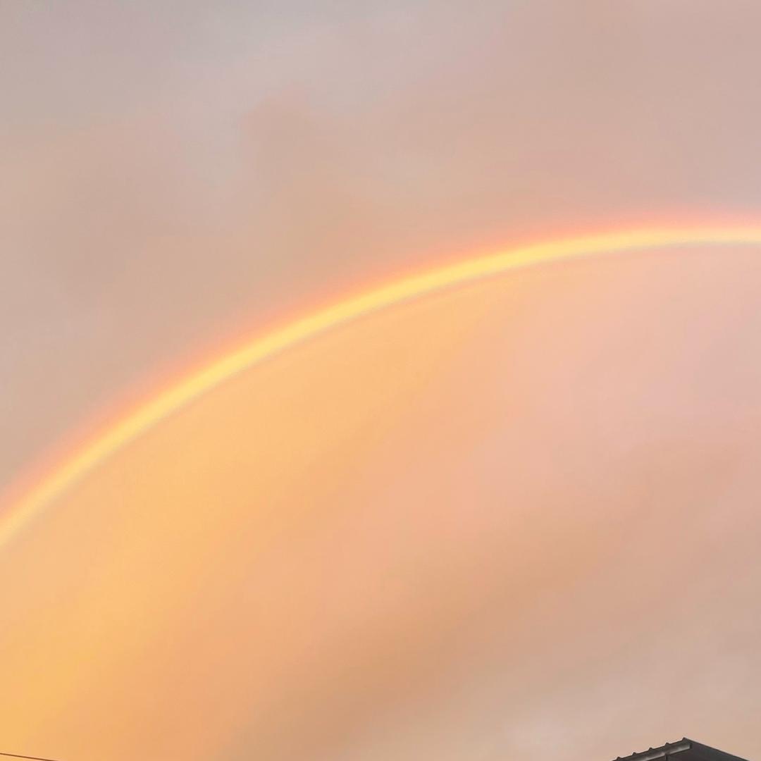 千层香酱香饼(路人甲)